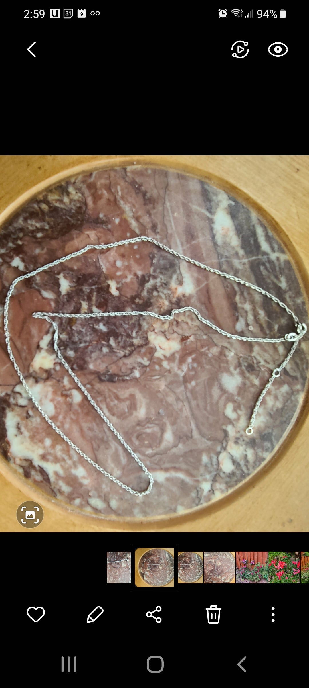 Silver Chain